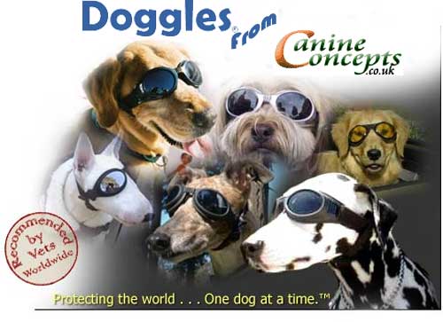 Losse Glazen hondenbrillen van Doggles, ook voor blinde honden-0