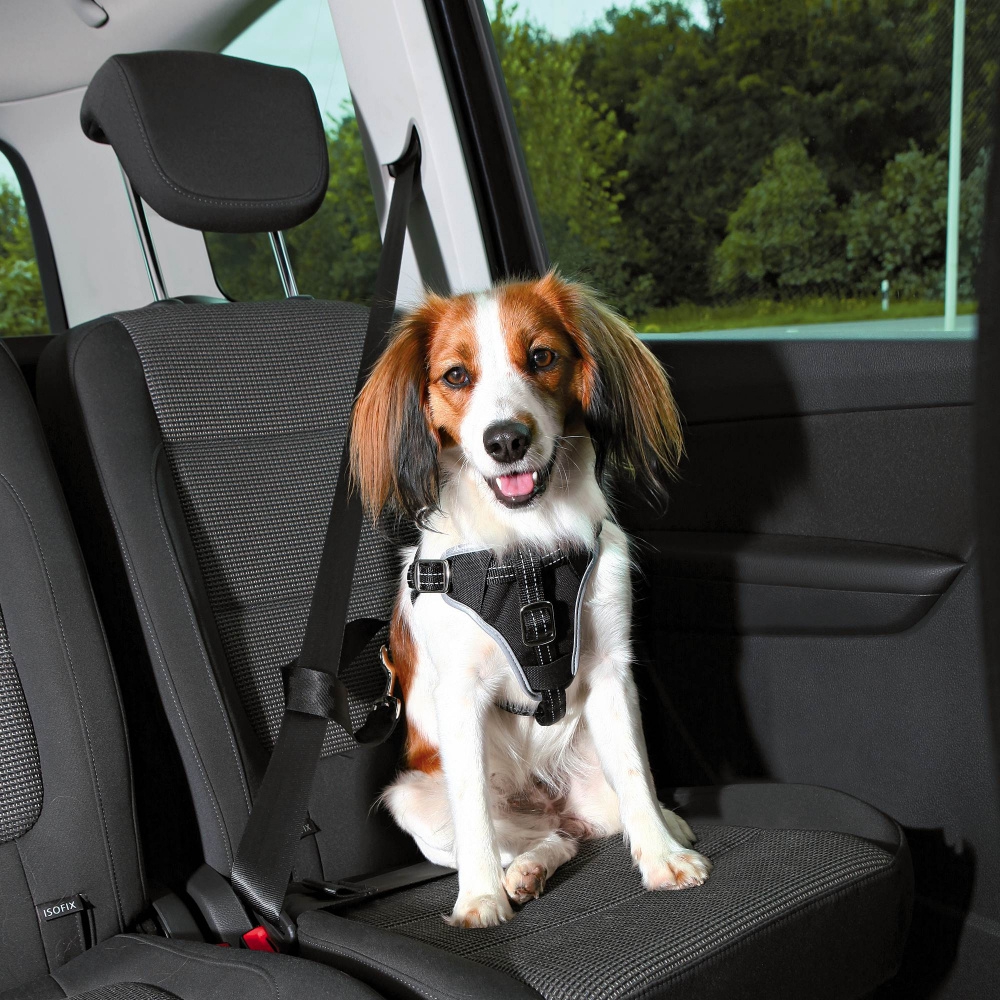 Trixie honden veiligheidstuig voor in de auto-0