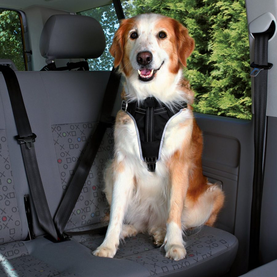 Trixie honden veiligheidstuig voor in de auto-5981